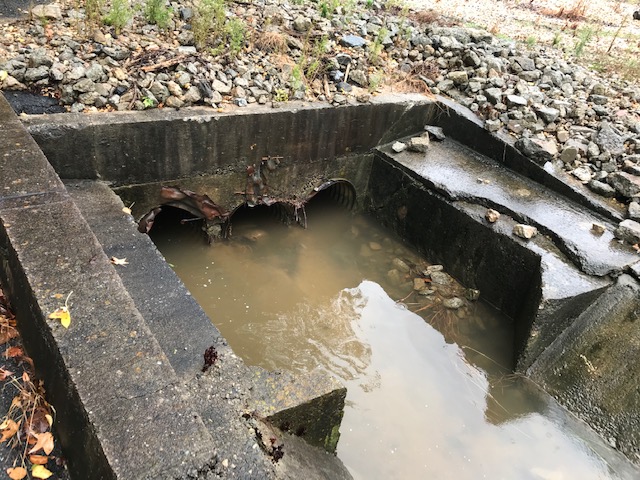 Storm drain vegetation maintenance atlanta ga