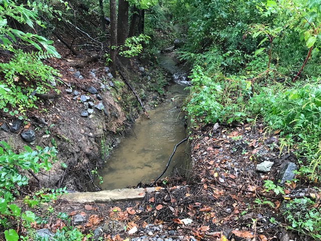 Storm drain vegetation maintenance atlanta ga