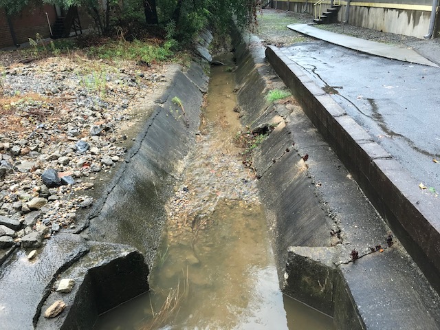 Storm drain vegetation maintenance atlanta ga